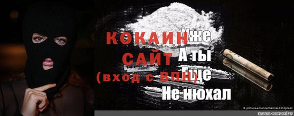 сатива Новокубанск