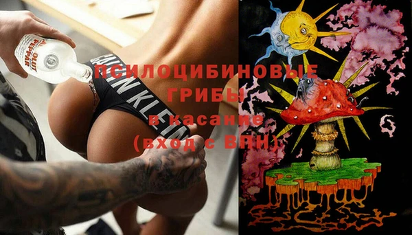 дурь Новодвинск