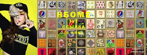 сатива Новокубанск