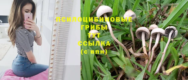 не бодяженный Няндома