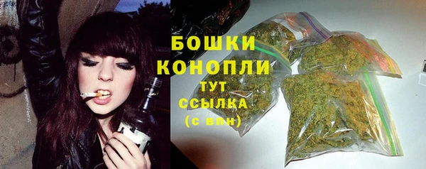 дурь Новодвинск
