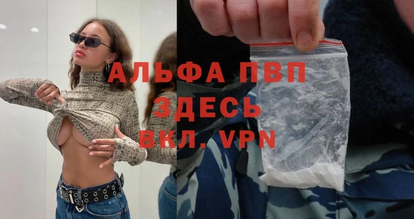 сатива Новокубанск