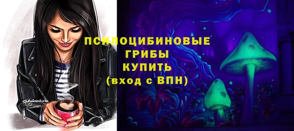 эйфоретик Новозыбков