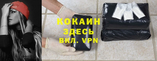 сатива Новокубанск