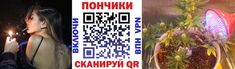 Шишки марихуана индика  где продают наркотики  blacksprut онион  Пыталово 